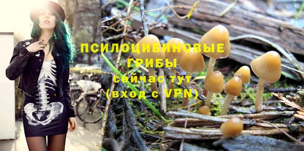 прущие крисы Бугульма