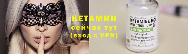 сатива Беломорск