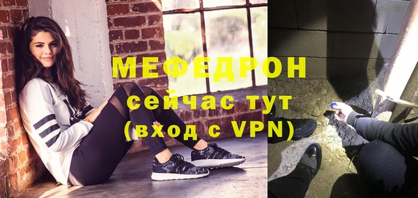 сатива Беломорск