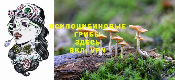 мет Инсар