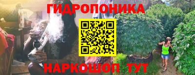 ГАЛЛЮЦИНОГЕННЫЕ ГРИБЫ Балахна