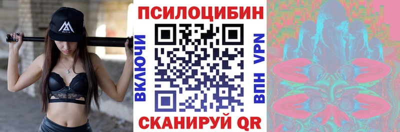 кракен зеркало  Белорецк  Галлюциногенные грибы Cubensis 