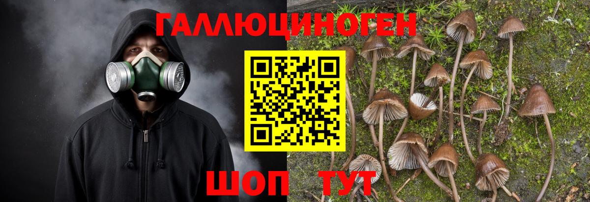 Галлюциногенные грибы мицелий  Вход с VPN  Псилоцибиновые грибы Cubensis  магазин продажи   Белорецк 